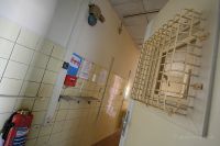 Bild (16)
